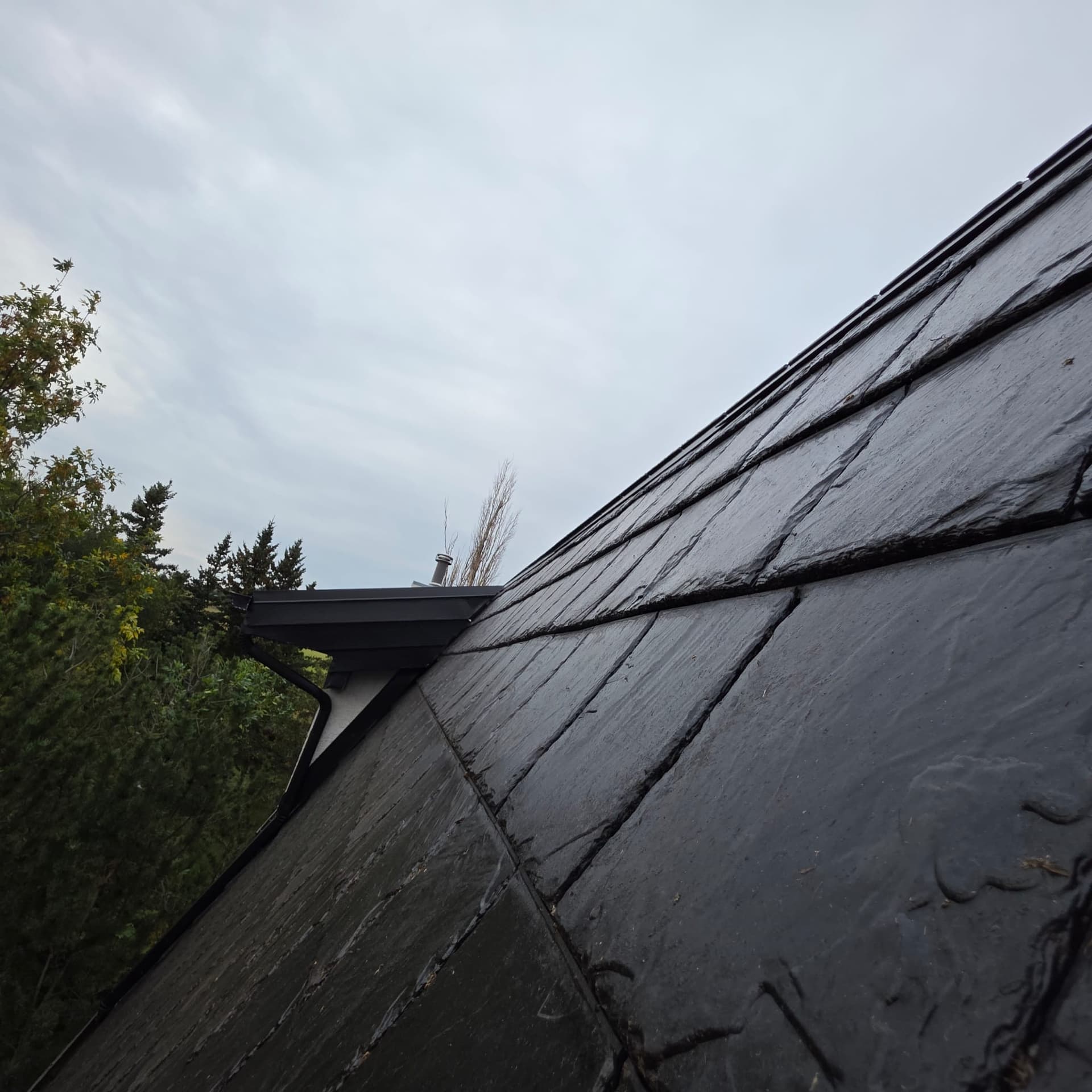 Cedar Shake to Euroshield Rubber Roof Replacement in Rocky View County